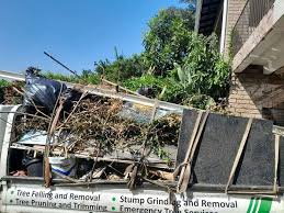 Best Dumpster Rental Services  in Eagle Pass, TX