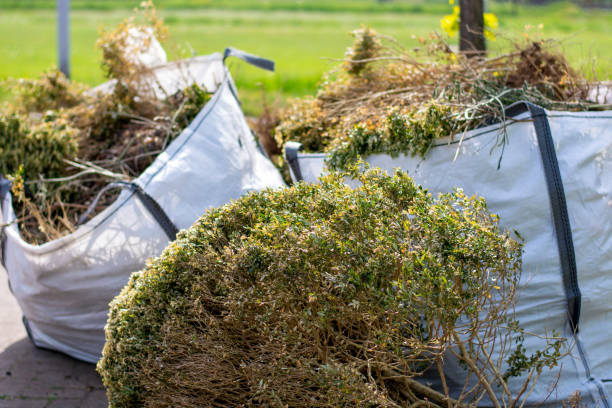 Best Retail Junk Removal  in Eagle Pass, TX